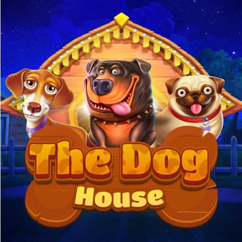 Enjoy the popular The Dog House slot at VeryWell.